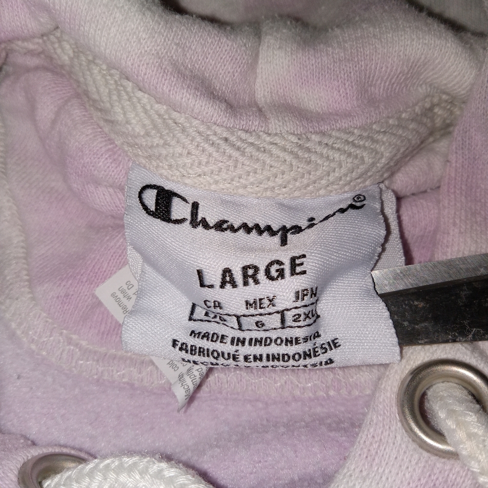 Champion Heavyweight Hooded Sweatshirt Large - Picture 5 of 7